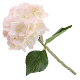 💐 Hydrangea Artificial Flower Stem (21)